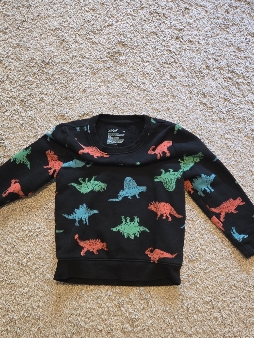 Cat & Jack Black Sweatshirt with Blue, Green & Orange Dinosaur Prints